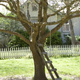 Image for article titled Gorgeous Tree of Life stills look like the greatest science epic of all time